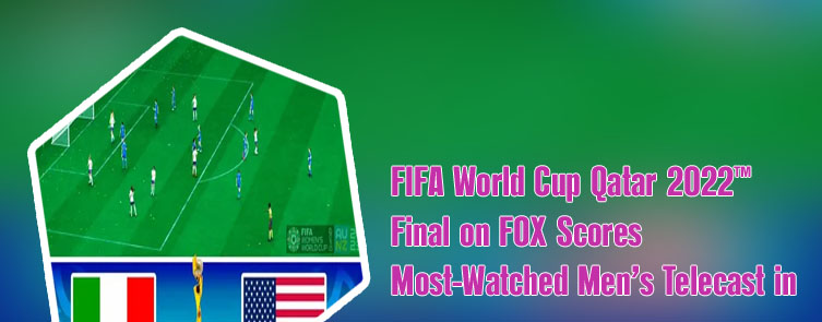 Fifa world cup final viewers