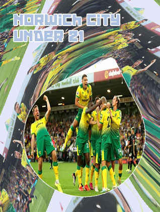Norwich soccerway